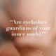 Are eyelashes guardians of your inner world